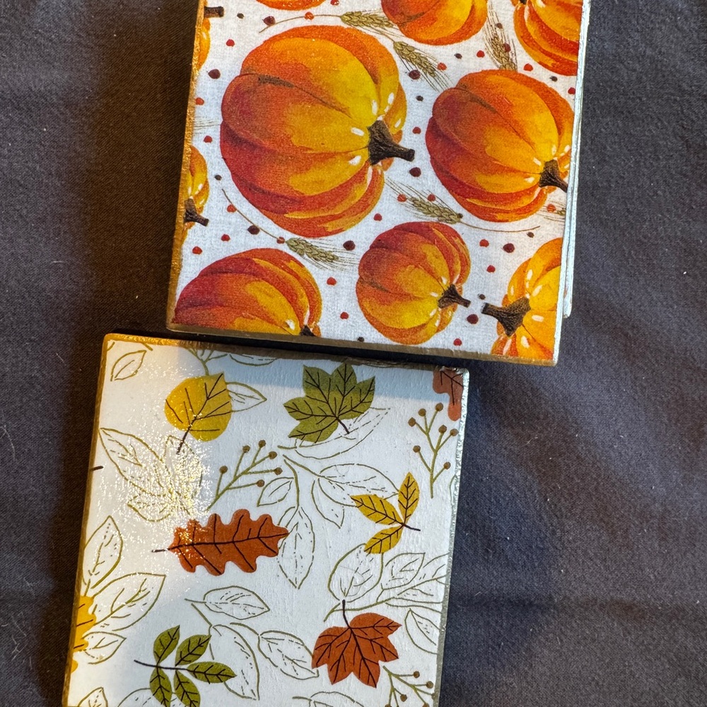 Pumpkin and Leaf Themed Handmade Coasters